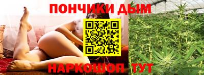 стаф Кингисепп