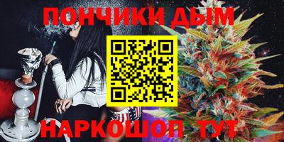 стаф Кингисепп