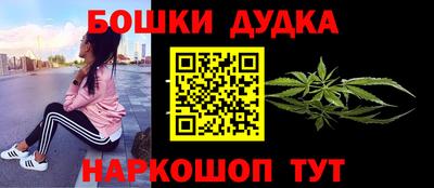 стаф Кингисепп
