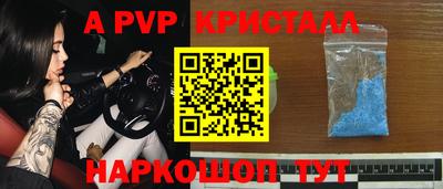 стаф Кингисепп