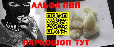 стаф Кингисепп