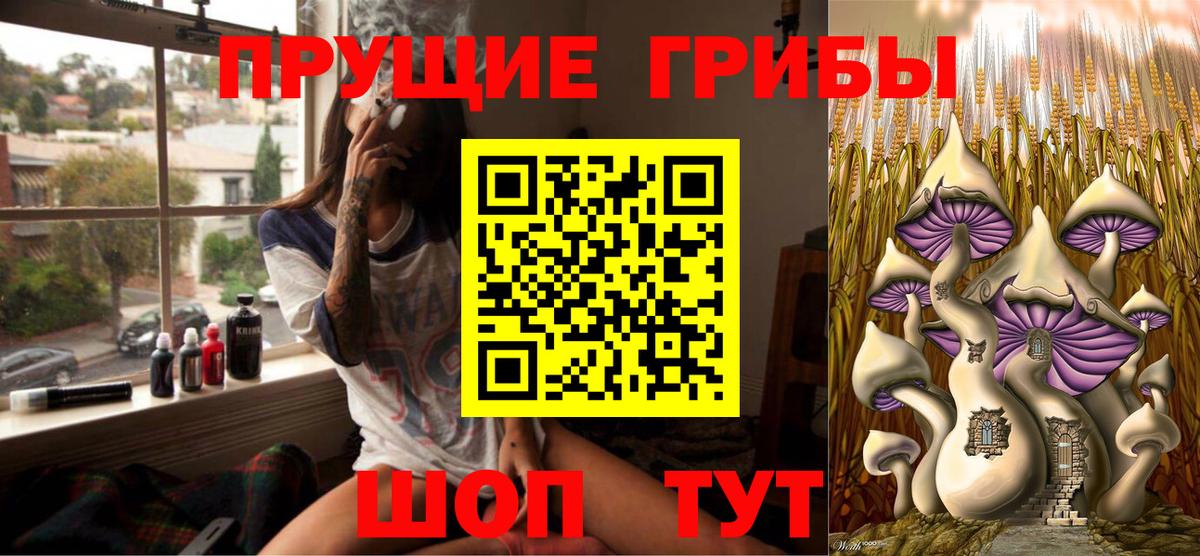Галлюциногенные грибы MAGIC MUSHROOMS  Вход с VPN  закладки  Чебоксары 
